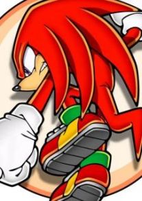Knuckles The Echidna 