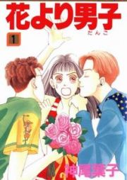 Hana yori Dango (Boys Over Flowers)