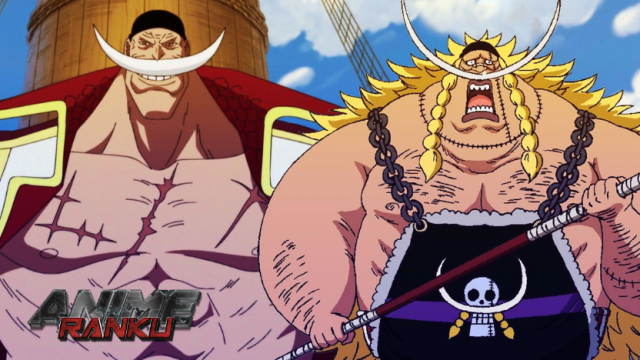 A One Piece Theory Is that Edward Weevil Is Whitebeard's Clone