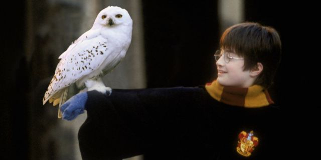 images/news/2023/12/1/best-pets-harry-potter_11.jpg