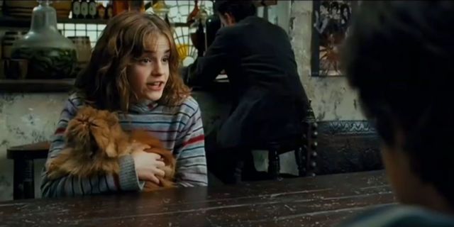 images/news/2023/12/1/best-pets-harry-potter_9.jpg