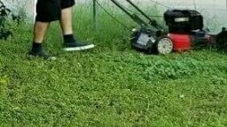 This is my dad, mowing my mom’s lawn. They’ve been divorced 28 years. - News Of The World