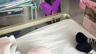 If You See a Purple Butterfly Sticker Near a Newborn, You Need to Know What It Means