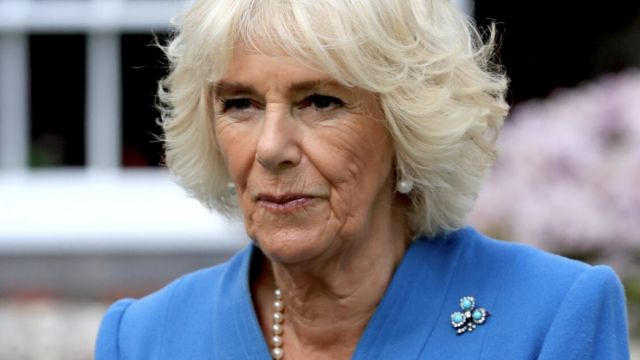 Queen Camilla has gotten her "perfect" revenge on Meghan Markle, royal expert claims