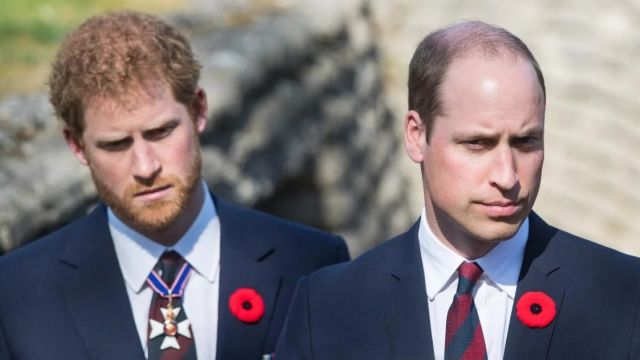 Prince William Is Ghosting Prince Harry For This Reason - Royal News