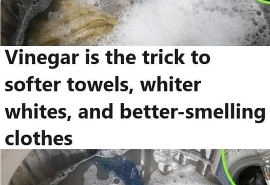 VINEGAR IS THE SECRET OF SOFT TOWELS, WET WIPES, AND OTHER LAUNDRY SOLUTIONS.