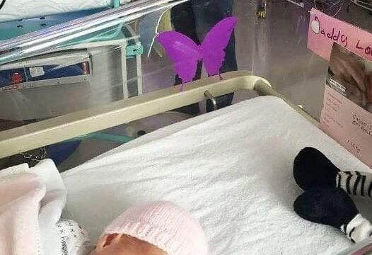 HT4.If You See a Purple Butterfly Sticker Near a Newborn, You Need to Know What It Means