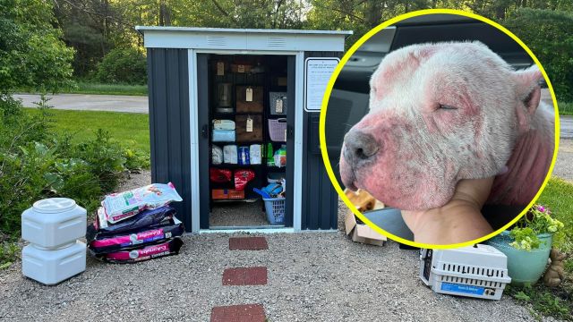 T1.Sick dog was surrendered when his owners couldn't afford medication — inspires pet pantry for those in need