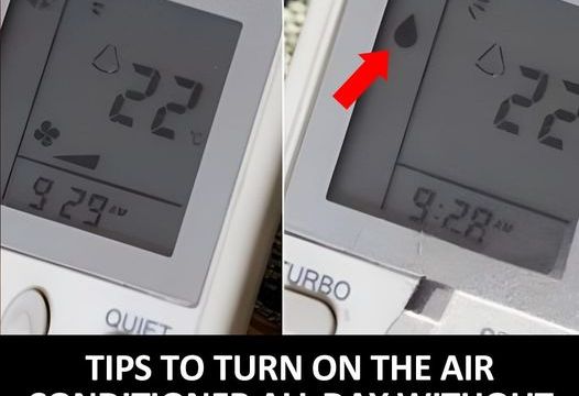 HT7. 12 Tips to Keep Your Air Conditioner Running Efficiently Without Breaking the Bank