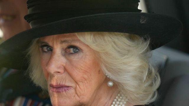 RF. Queen Camilla shares new update on King Charles' health after diagnosis – royal expert claims he's a "workaholic"