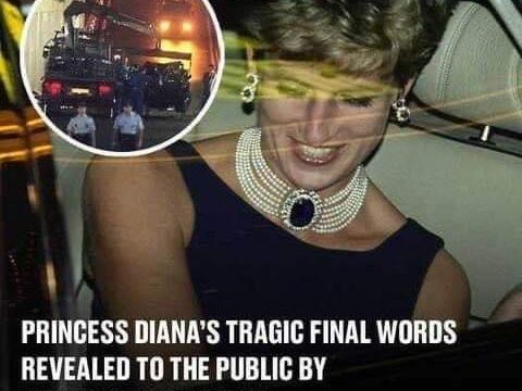 HT4. Princess Diana's last words disclosed by firefighter who responded on scene