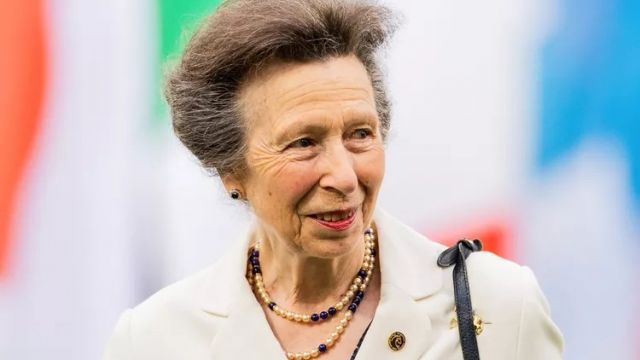 RF. Royal Family Removes Princess Anne's Next Engagement Following Hospitalization for Horse 'Incident'