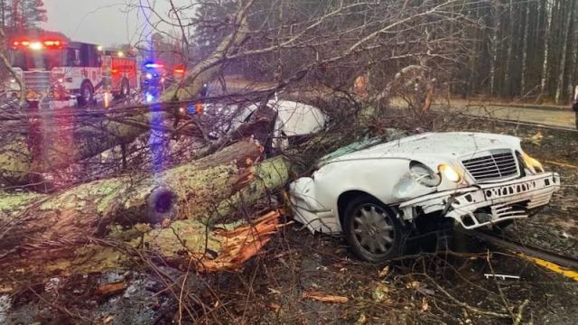 HT2.  comedian died today in a tragic accident after a large tree branch fell on top of him -