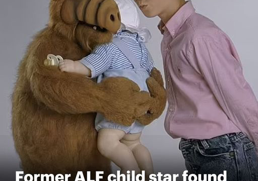 T6. Benji Gregory dead at 46: Former ALF child star died in car alongside his service dog in Arizona bank parking lot due to 'suspected heatstroke'