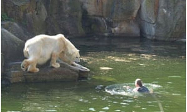 HT6. Woman Attacked by Polar Bear at Berlin Zoo (Video)