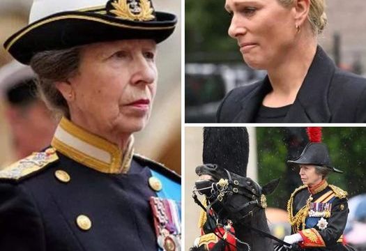 RF. Princess Anne’s concussion and memory loss has left daughter ‘shaken’