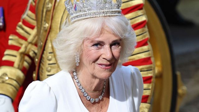 RF. Who Are Queen Camilla's Siblings, One of Whom Tragically Died?