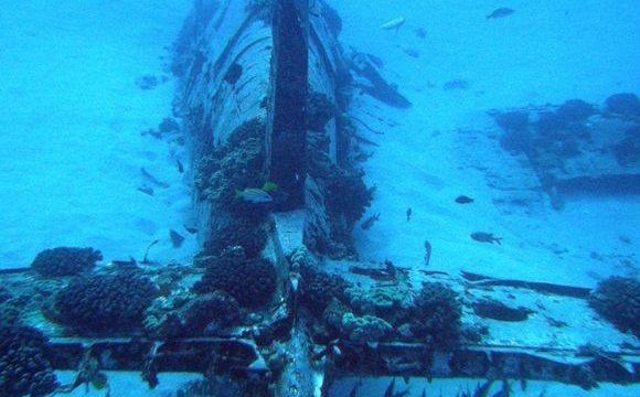 HT1. Mysterious plane found in the sea – Navy goes speechless when they look inside