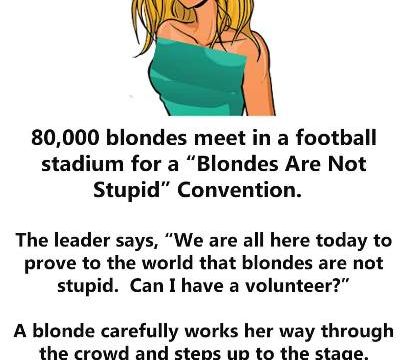 HT4. 80,000 blondes meet in a football stadium for a “Blondes Are Not Stupid” convention.