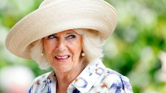 RF. Prince William Drops Queen Camilla's Kin, Formerly Employed by King Charles, from His Payroll — Here's What to Know