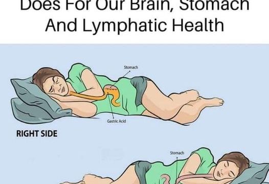 HT1. The Benefits of Sleeping on the Left Side for Brain, Stomach, and Glympathic Health