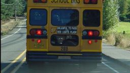 HT1. I Saw a Child on the School Bus Hitting the Back Window and Yelling for Help