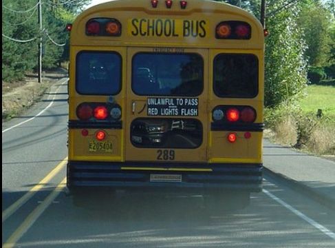 HT1. I Saw a Child on the School Bus Hitting the Back Window and Yelling for Help