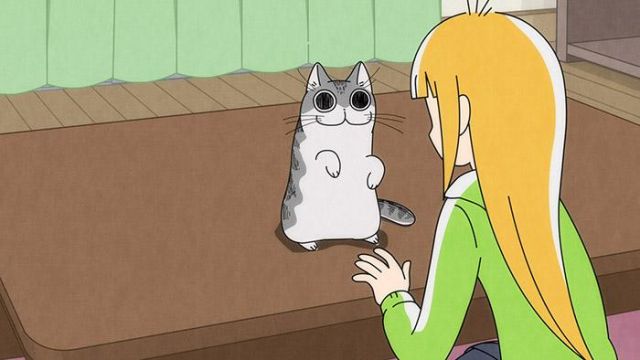 nights with a cat episode 11