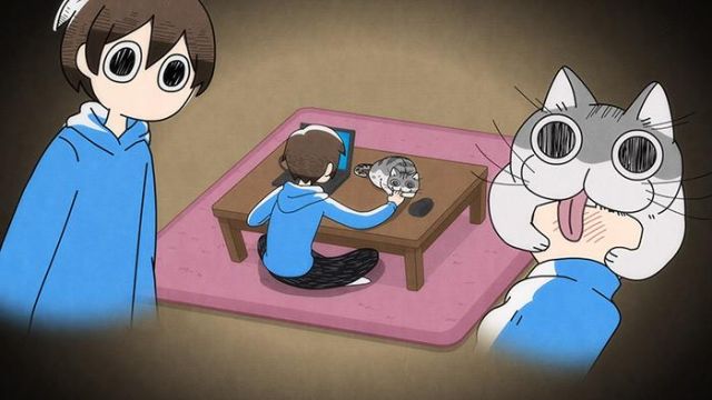 Nights with a Cat Anime Releases Preview for Episodes 3 and 4