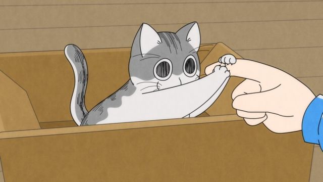 Nights with a Cat Anime Releases Preview Images and Synopsis for Episodes 1 and 2