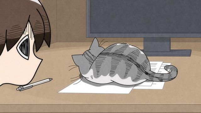 nights with a cat episode 12